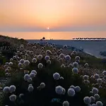 Dimora Sole E Mare Valledoria (Sardinia)